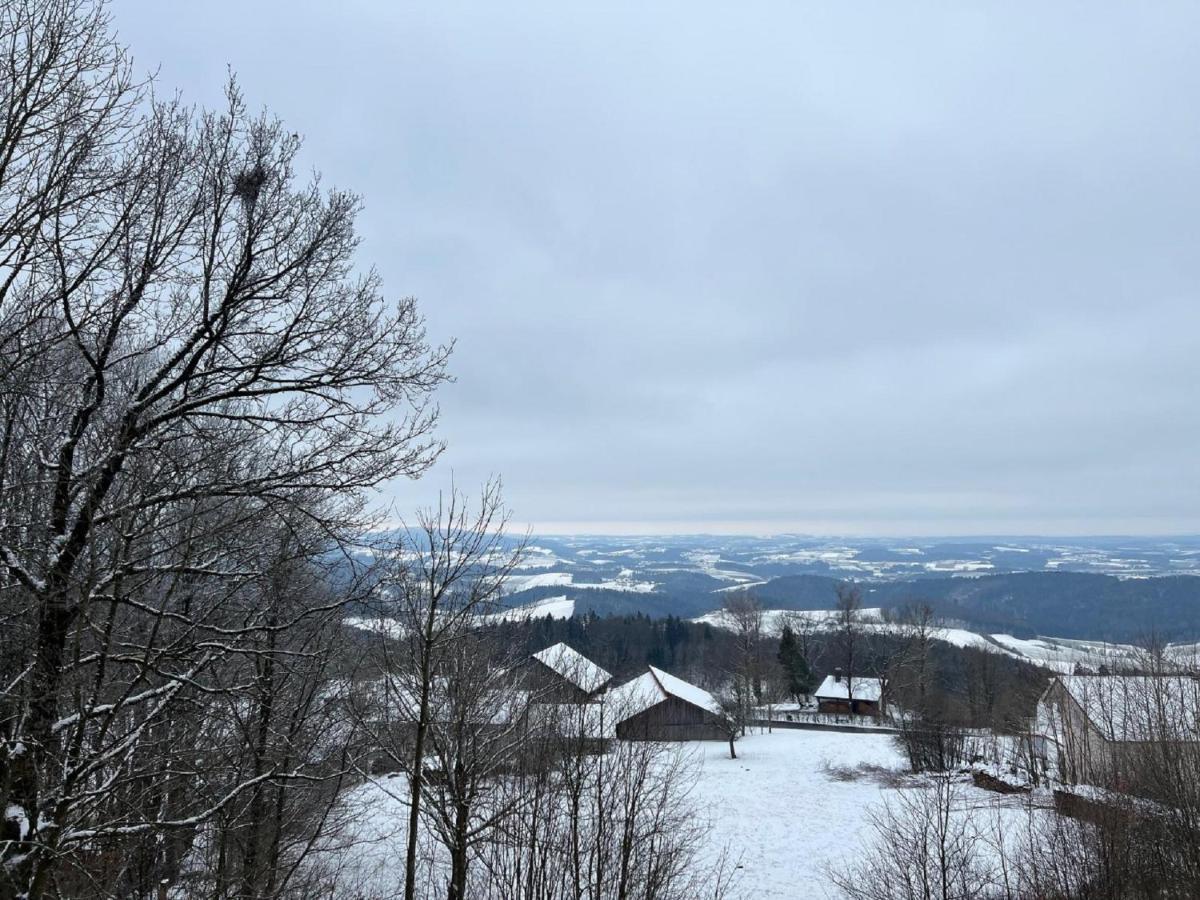 Ferienwohnungen Bayerischer Wald Mit Pool ฟรายยุง ภายนอก รูปภาพ