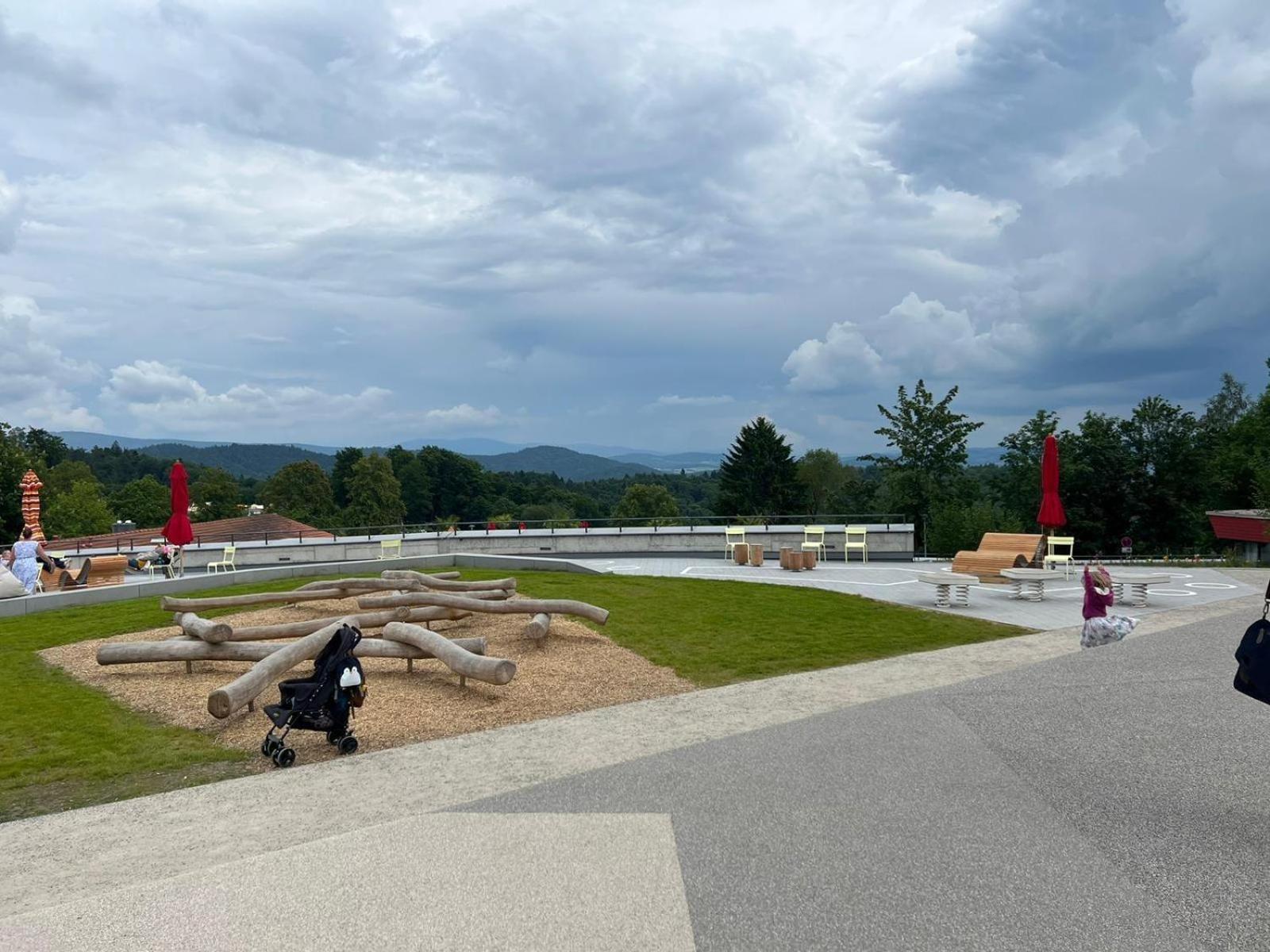Ferienwohnungen Bayerischer Wald Mit Pool ฟรายยุง ภายนอก รูปภาพ