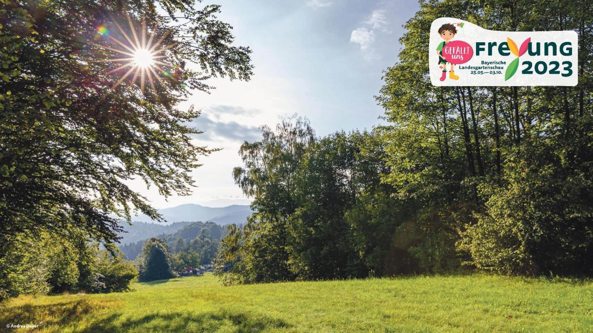 Ferienwohnungen Bayerischer Wald Mit Pool ฟรายยุง ภายนอก รูปภาพ